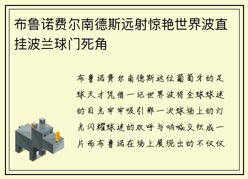 布鲁诺费尔南德斯远射惊艳世界波直挂波兰球门死角